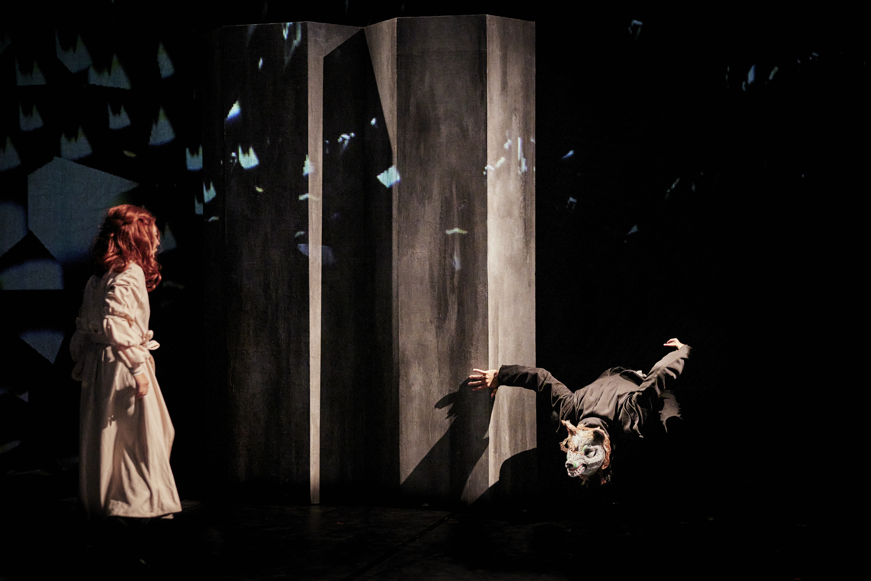 Dracula Lucys Dream - Christophe Raynaud de Lage (4).jpg