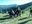 Reebok Spartan Race a Encamp!