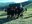 Reebok Spartan Race a Encamp 
