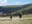 Reebok Spartan Race a Encamp 