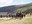 Reebok Spartan Race a Encamp 