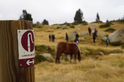 20231016 visita síndics ruta orris @comuencamp-07.jpg.