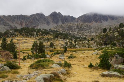 20231016 visita síndics ruta orris @comuencamp-30.jpg.