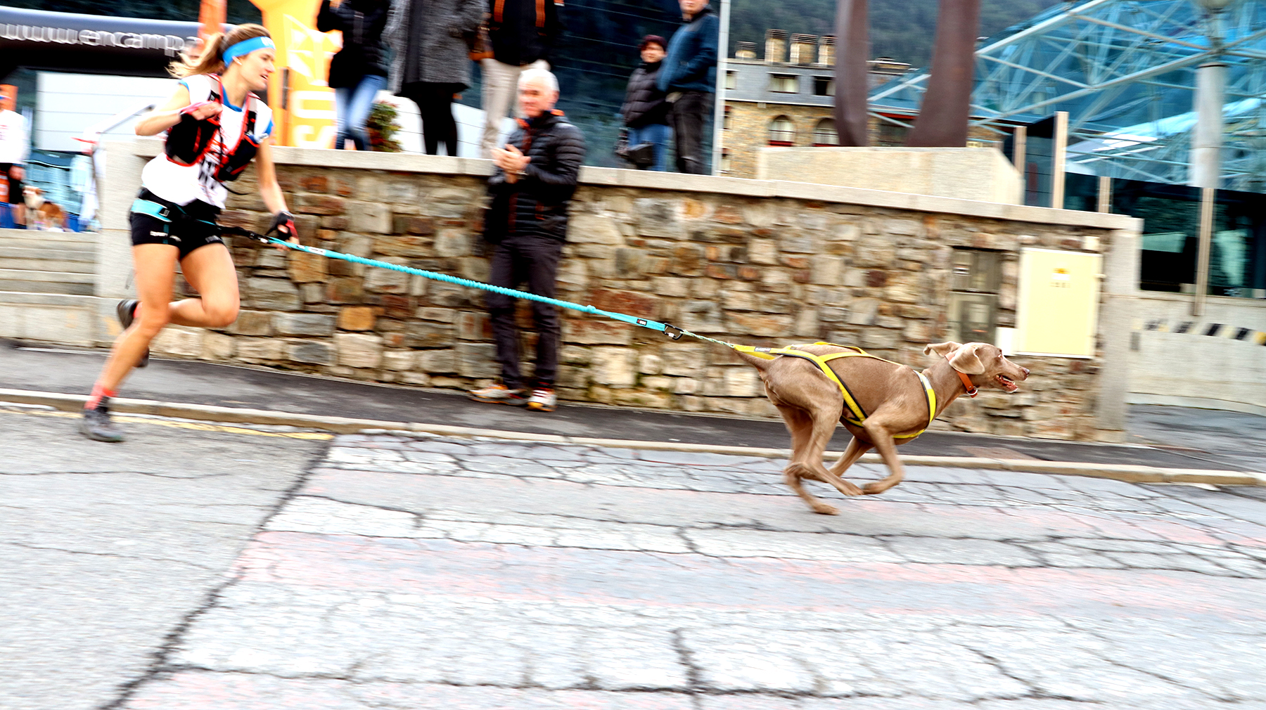 Otso Trail Dog - Sortida-028.JPG