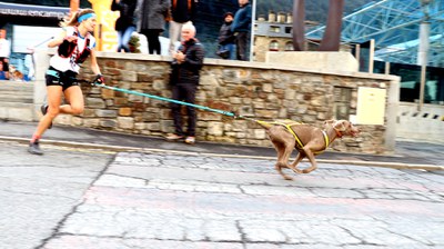 Otso Trail Dog - Sortida-028.JPG.