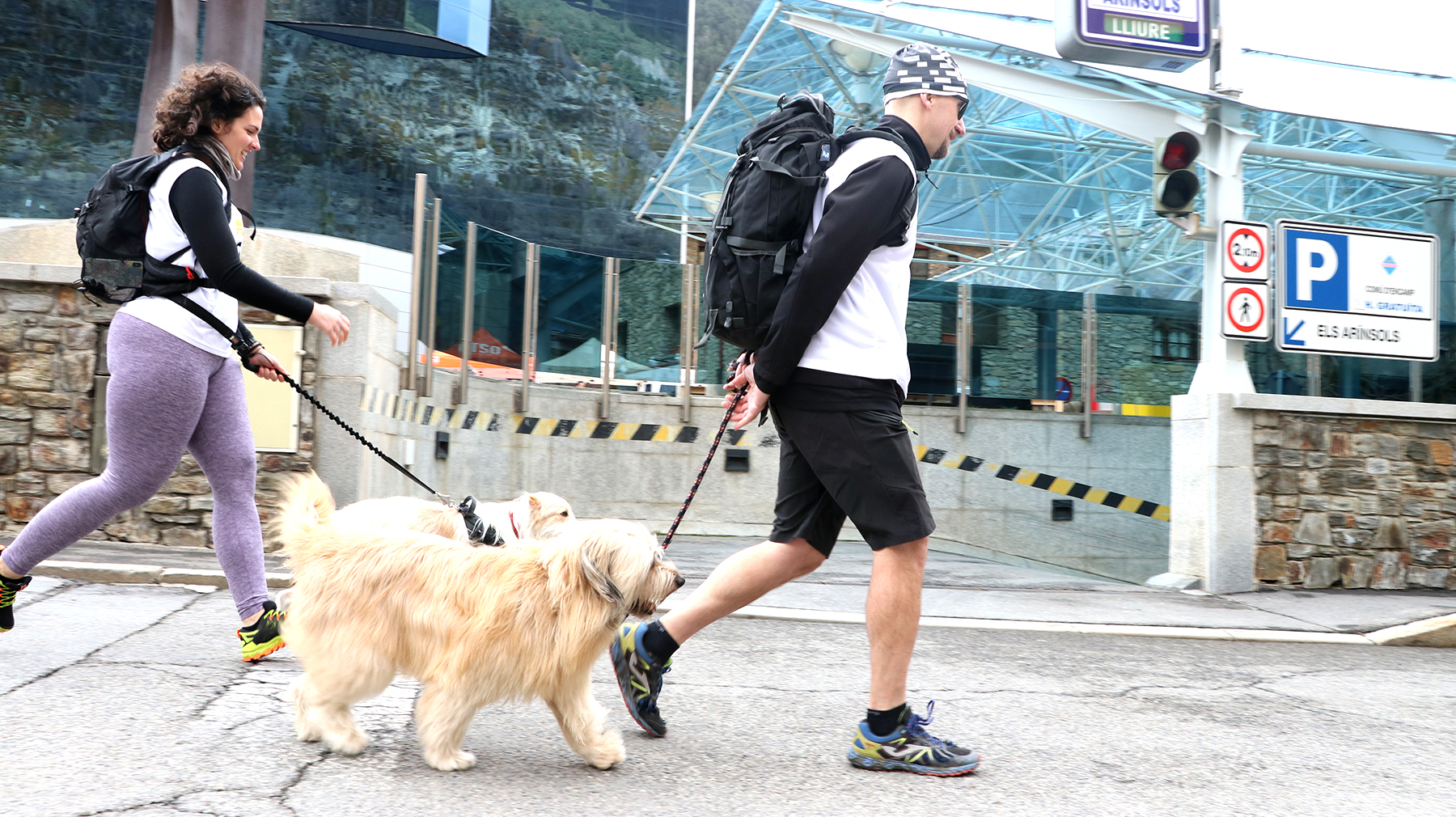 Otso Trail Dog - Sortida-089.JPG