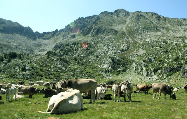 Pas de la Casa