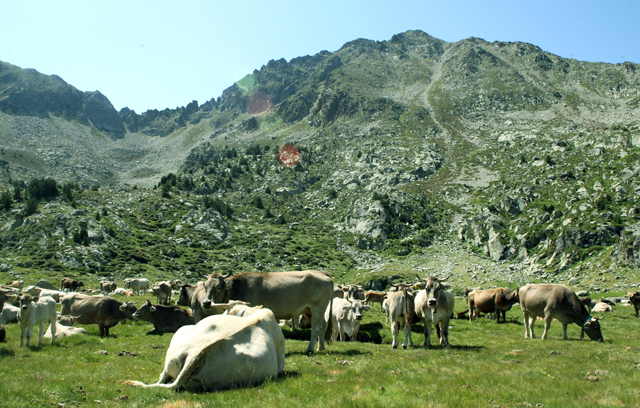 Pas de la Casa