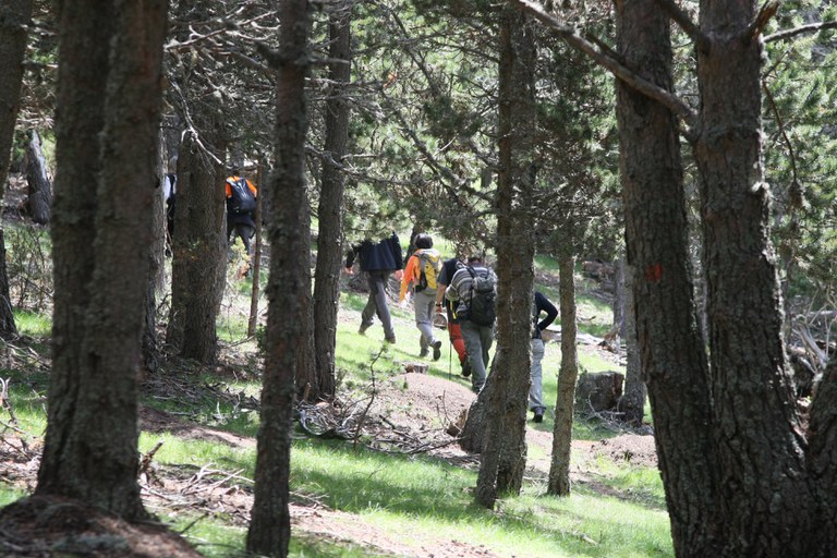 Encamp en imatges