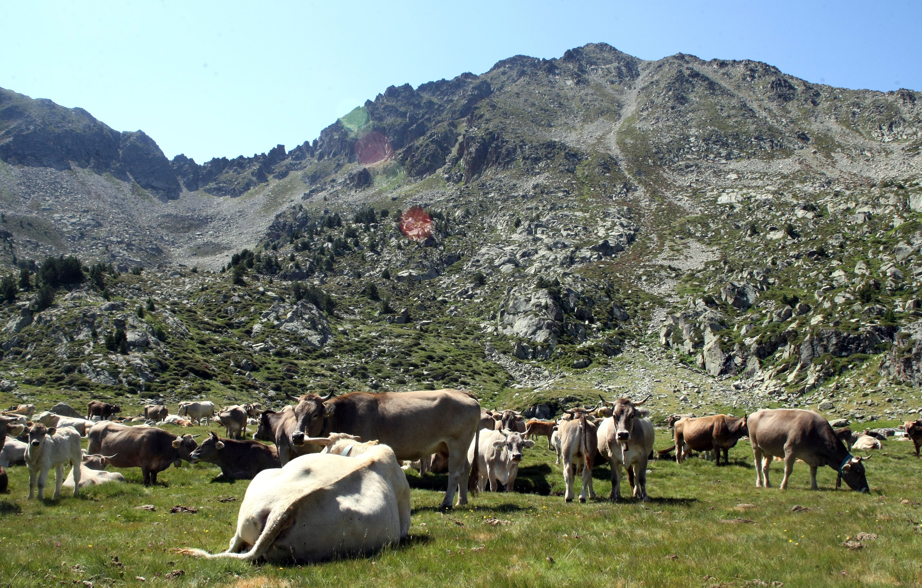 Encamp en imatges