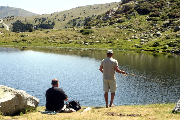 Encamp en imatges