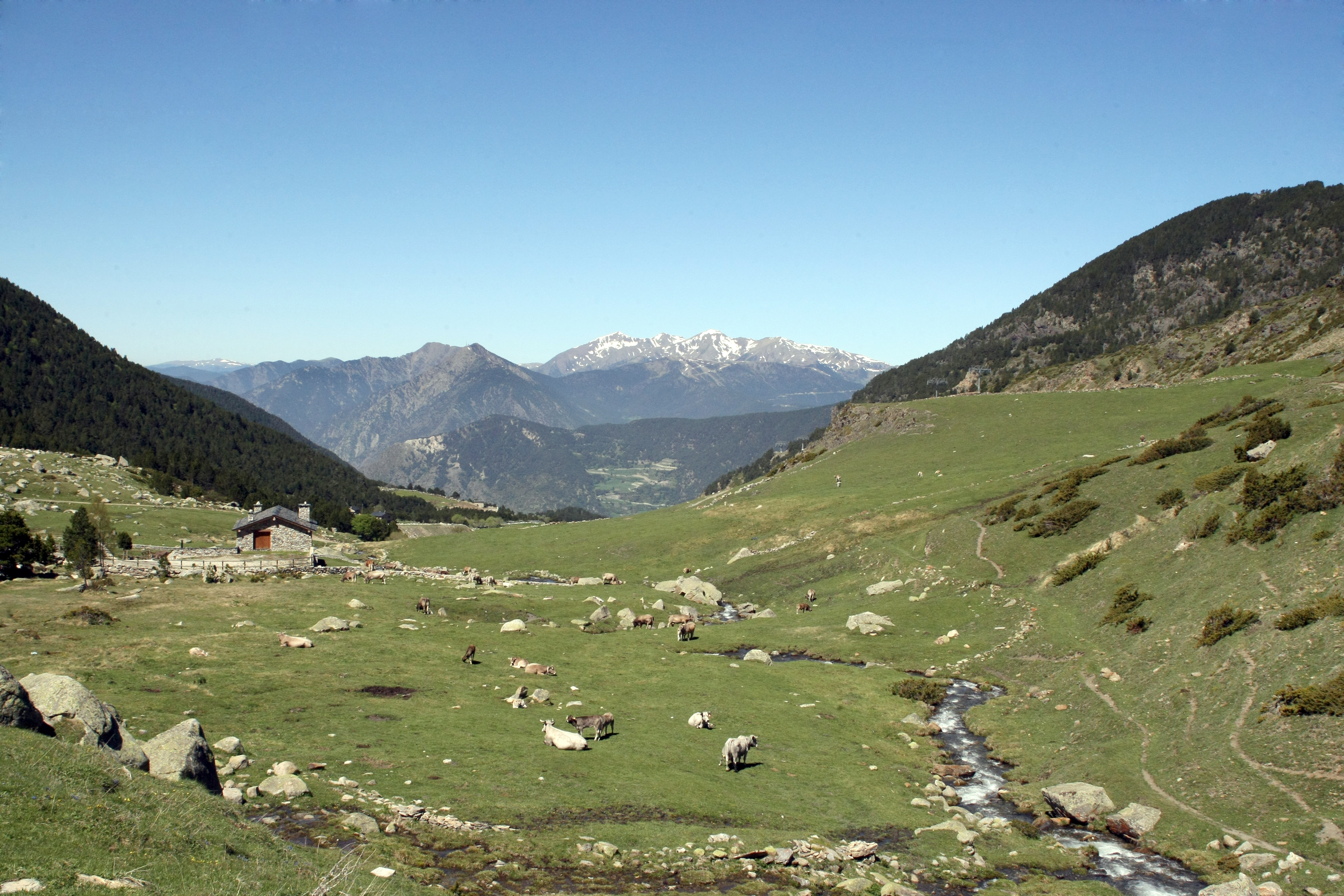 Encamp en imatges