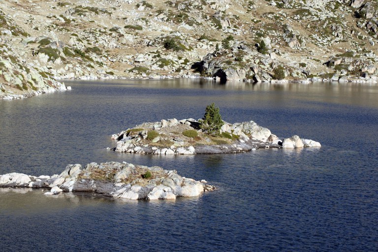 Encamp en imatges