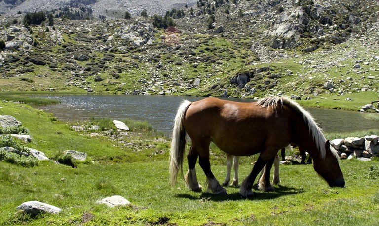 Encamp en imatges