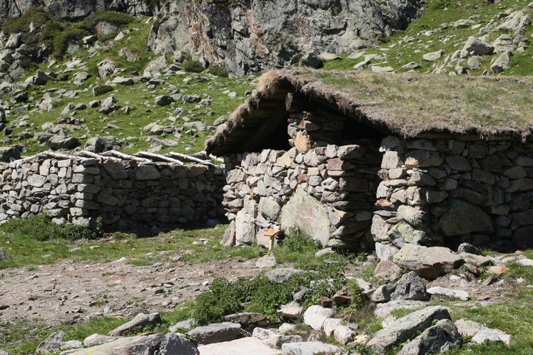 Encamp en imatges