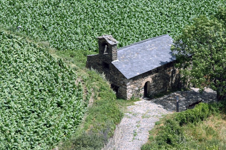 Encamp en imatges