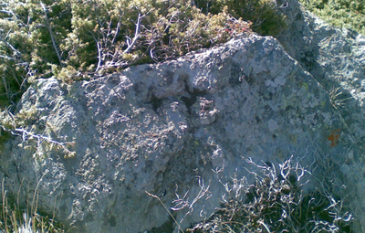 CREUS DE TERME MAIÀ.
