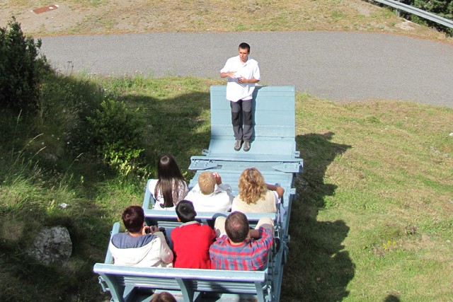 image_large (3).jpg