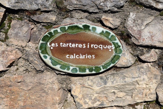 image_large (13).jpg