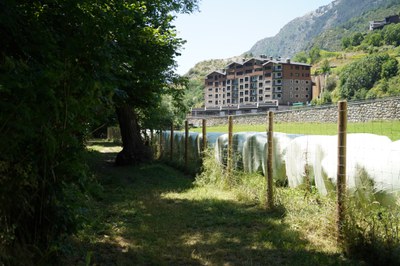 20250627 PSIVA @ComuEncamp (66).JPG.