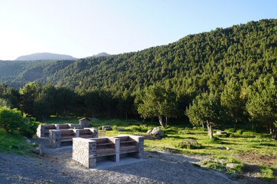 20250620 Berenadors Els Cortals @ComuEncamp (13).JPG.