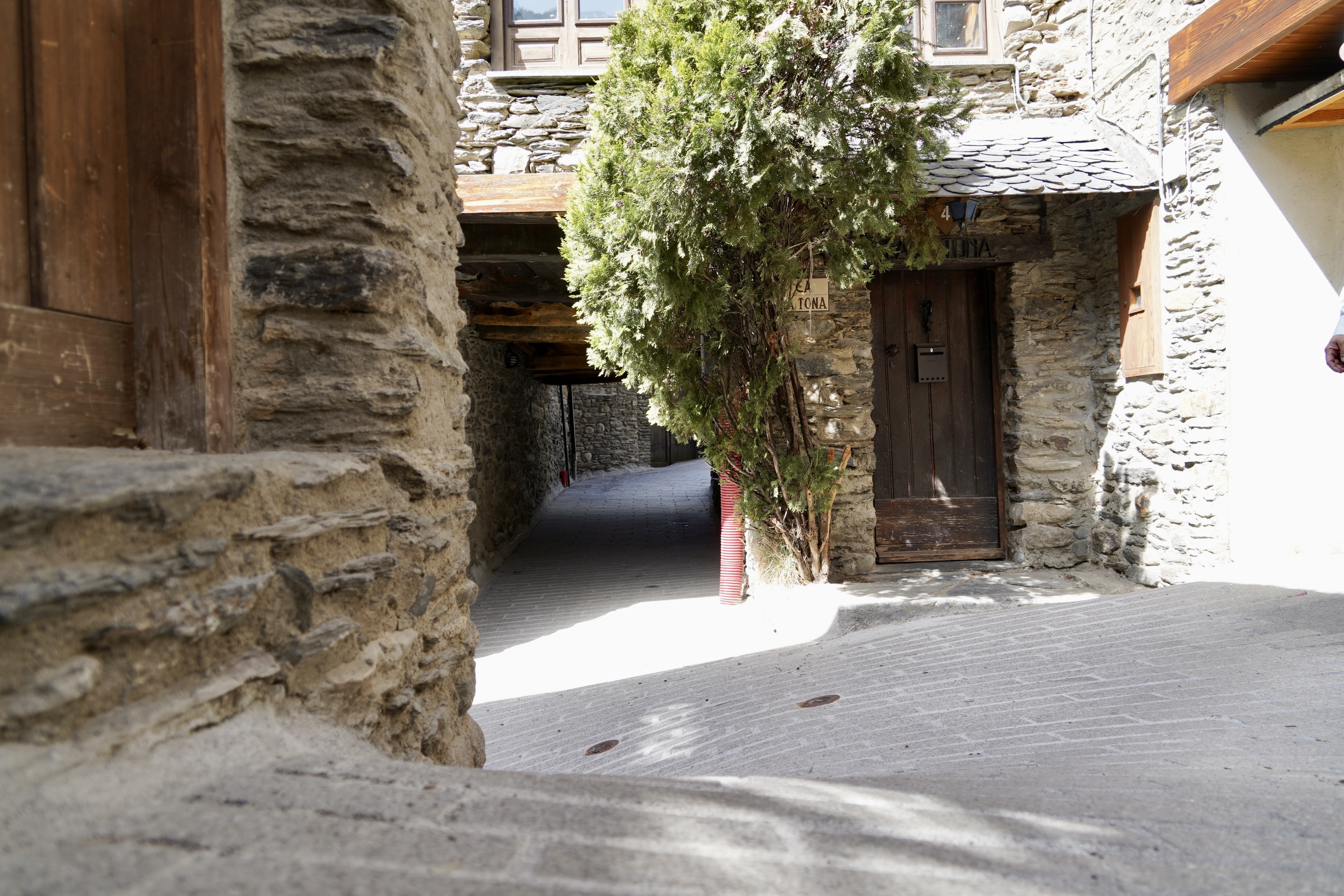20260422 Remodelacio de les Bons (62).jpg